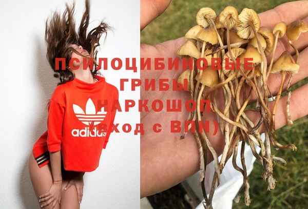 прущая мука Алзамай