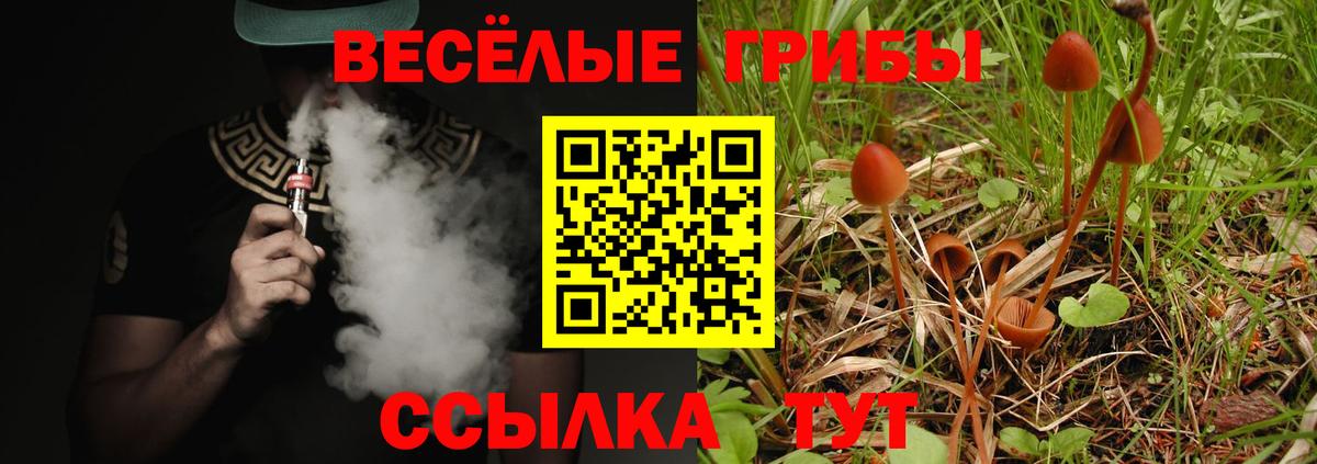 Галлюциногенные грибы Magic Shrooms  где можно купить наркотик  Вход с VPN  Салават  Галлюциногенные грибы MAGIC MUSHROOMS 